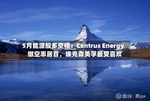5月能源股多空榜：Centrus Energy做空率居首，埃克森美孚最受喜欢