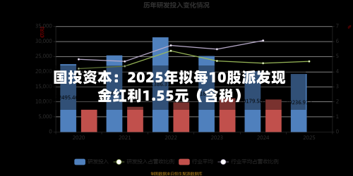 国投资本:2025年拟每10股派发现金红利1.55元(含税)-第2张图片