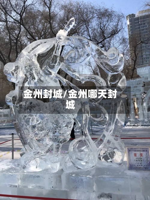 金州封城/金州哪天封城