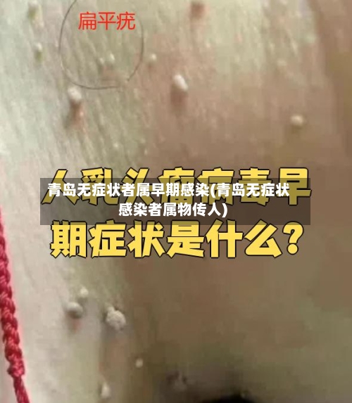 青岛无症状者属早期感染(青岛无症状感染者属物传人)-第3张图片