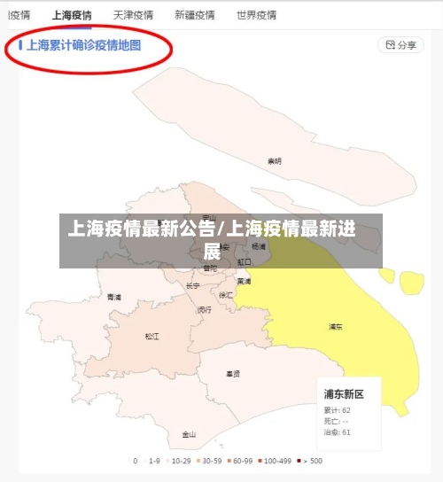 上海疫情最新公告/上海疫情最新进展-第2张图片