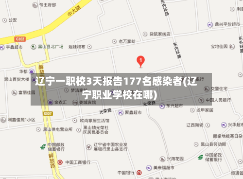 辽宁一职校3天报告177名感染者(辽宁职业学校在哪)-第3张图片