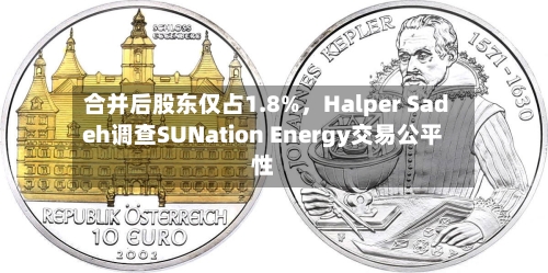合并后股东仅占1.8%，Halper Sadeh调查SUNation Energy交易公平性