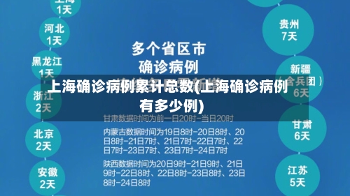 上海确诊病例累计总数(上海确诊病例有多少例)-第3张图片