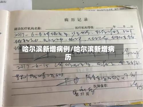 哈尔滨新增病例/哈尔滨新增病历-第2张图片