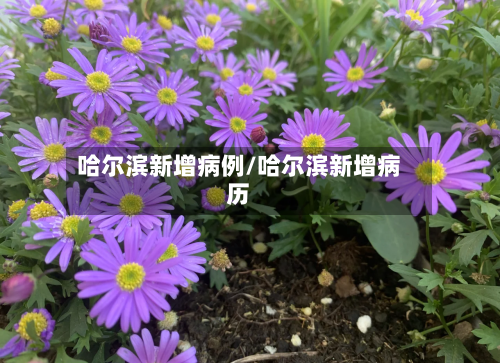 哈尔滨新增病例/哈尔滨新增病历-第3张图片