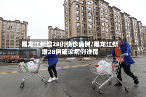 黑龙江新增28例确诊病例/黑龙江新增28例确诊病例详情