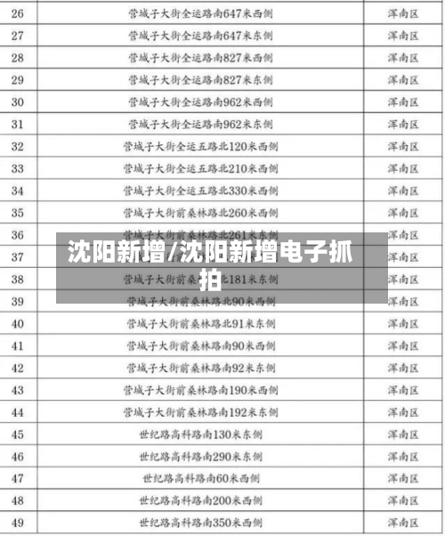 沈阳新增/沈阳新增电子抓拍-第2张图片