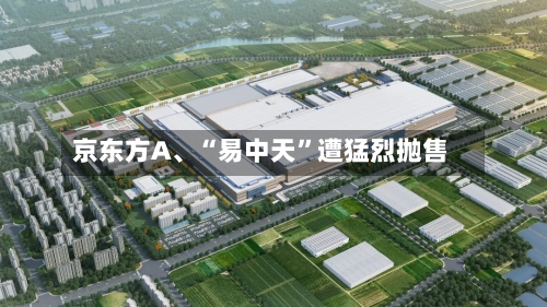 京东方A	、“易中天	”遭猛烈抛售-第2张图片