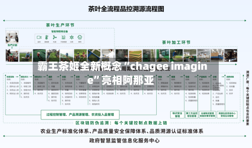 霸王茶姬全新概念“chagee imagine	”亮相阿那亚-第2张图片