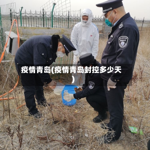 疫情青岛(疫情青岛封控多少天)-第2张图片