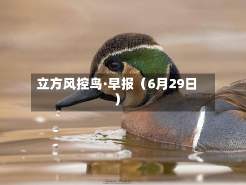 立方风控鸟·早报（6月29日）-第2张图片