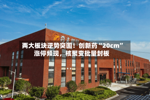 两大板块逆势突围！创新药“20cm”涨停频现	，核聚变批量封板-第3张图片
