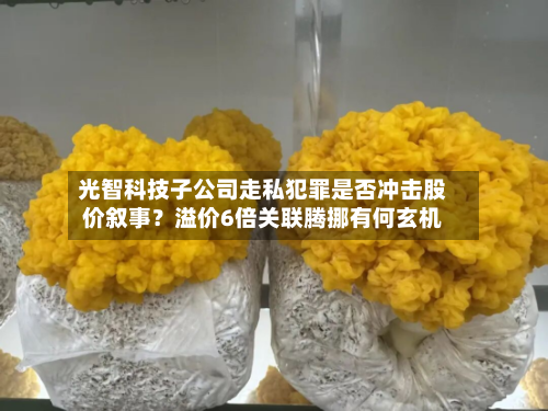 光智科技子公司走私犯罪是否冲击股价叙事？溢价6倍关联腾挪有何玄机