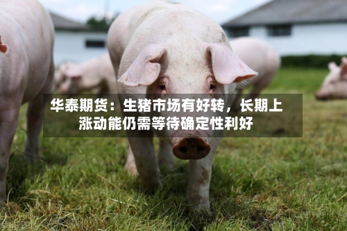 华泰期货：生猪市场有好转，长期上涨动能仍需等待确定性利好-第3张图片