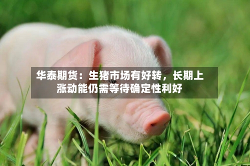 华泰期货：生猪市场有好转，长期上涨动能仍需等待确定性利好-第2张图片