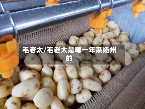 毛老太/毛老太是哪一年来扬州的-第3张图片