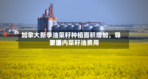 加拿大新季油菜籽种植面积增加，导致国内菜籽油费用下滑-第3张图片