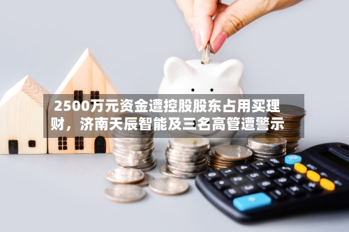 2500万元资金遭控股股东占用买理财，济南天辰智能及三名高管遭警示-第3张图片
