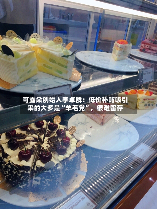 可露朵创始人李卓群：低价补贴吸引来的大多是“羊毛党”，很难留存