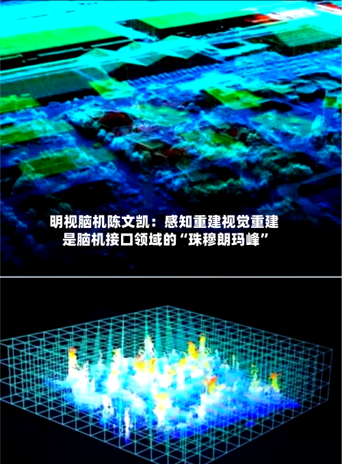 明视脑机陈文凯：感知重建视觉重建是脑机接口领域的“珠穆朗玛峰”-第2张图片