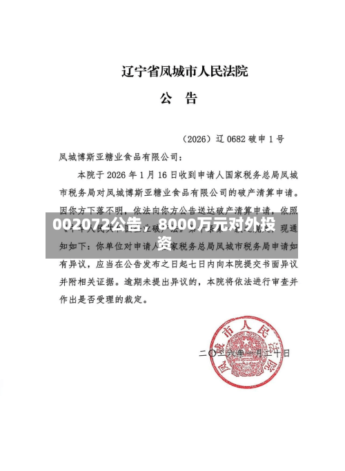 002072公告，8000万元对外投资