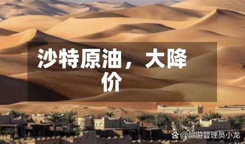沙特原油，大降价-第2张图片