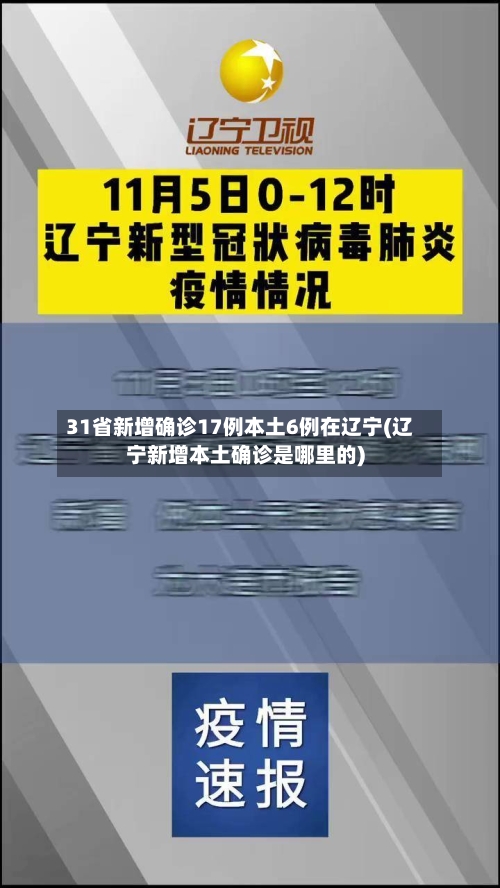 31省新增确诊17例本土6例在辽宁(辽宁新增本土确诊是哪里的)