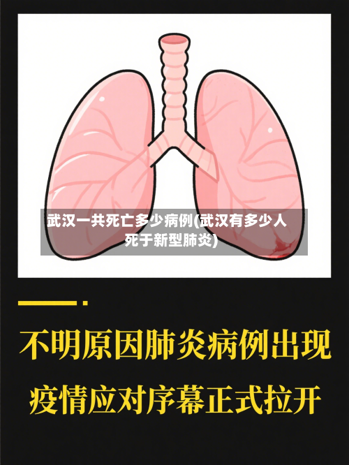 武汉一共死亡多少病例(武汉有多少人死于新型肺炎)-第2张图片