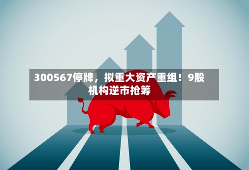 300567停牌	，拟重大资产重组！9股机构逆市抢筹-第3张图片