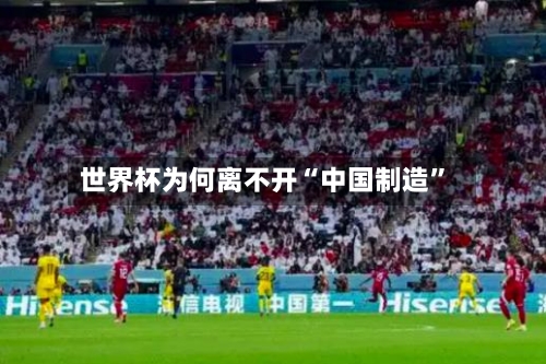 世界杯为何离不开“中国制造	”-第2张图片