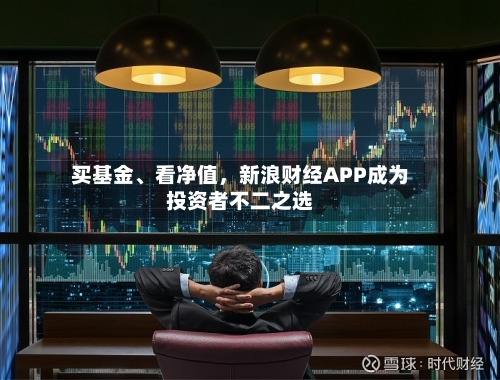 买基金、看净值，新浪财经APP成为投资者不二之选-第3张图片
