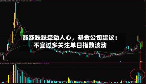涨涨跌跌牵动人心，基金公司建议：不宜过多关注单日指数波动-第3张图片