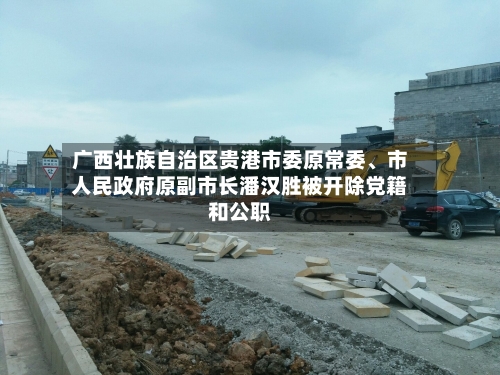 广西壮族自治区贵港市委原常委	、市人民政府原副市长潘汉胜被开除党籍和公职-第2张图片