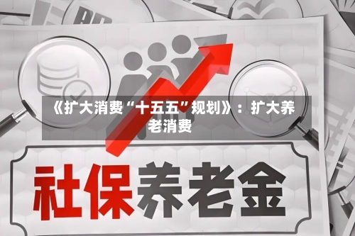 《扩大消费“十五五”规划》：扩大养老消费-第2张图片