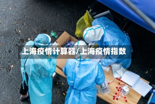 上海疫情计算器/上海疫情指数-第2张图片