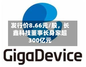 发行价8.66元/股，长鑫科技董事长身家超300亿元-第2张图片