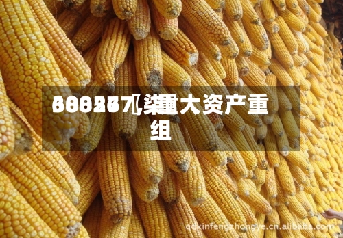 68827〖柒〗、300567	，重大资产重组-第2张图片