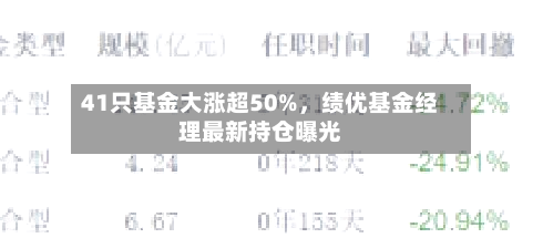41只基金大涨超50%	，绩优基金经理最新持仓曝光-第3张图片