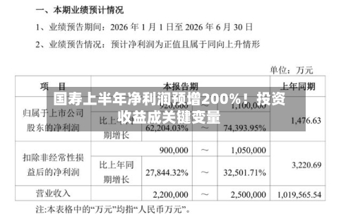 国寿上半年净利润预增200%!投资收益成关键变量-第2张图片