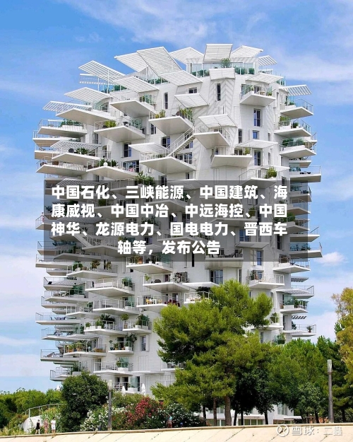 中国石化、三峡能源、中国建筑	、海康威视、中国中冶、中远海控	、中国神华、龙源电力、国电电力	、晋西车轴等，发布公告-第2张图片