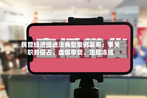 民营经济促进法典型案例发布：事关职务侵占、虚假带货	、违规冻结-第2张图片