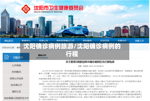 沈阳确诊病例旅游/沈阳确诊病例的行程