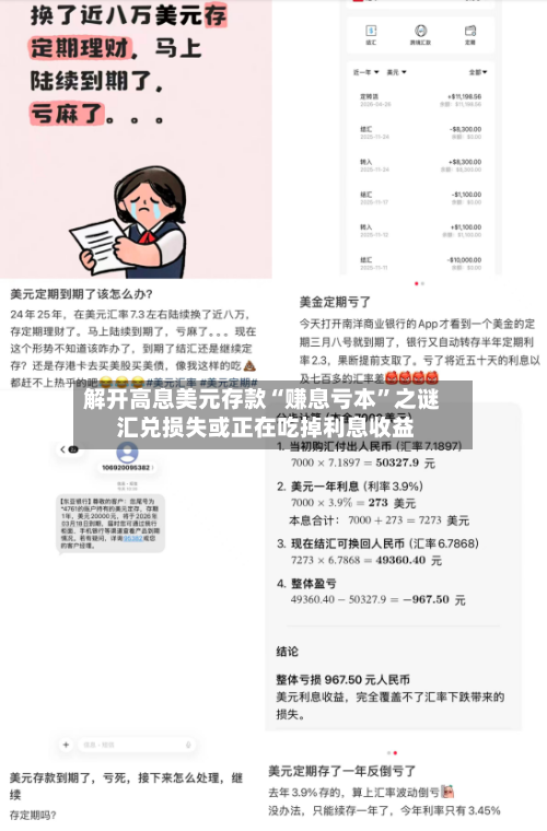 解开高息美元存款“赚息亏本”之谜 汇兑损失或正在吃掉利息收益-第2张图片