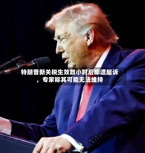 特朗普新关税生效数小时后即遭起诉	，专家称其可能无法维持-第2张图片