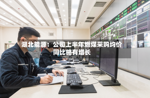 湖北能源:公司上半年燃煤采购均价同比略有增长-第2张图片