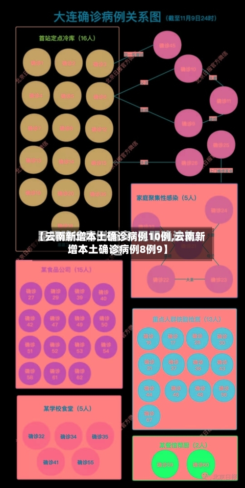 【云南新增本土确诊病例10例,云南新增本土确诊病例8例9】-第3张图片