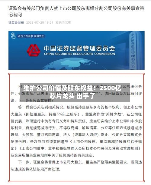 维护公司价值及股东权益!2500亿芯片龙头 出手了-第2张图片