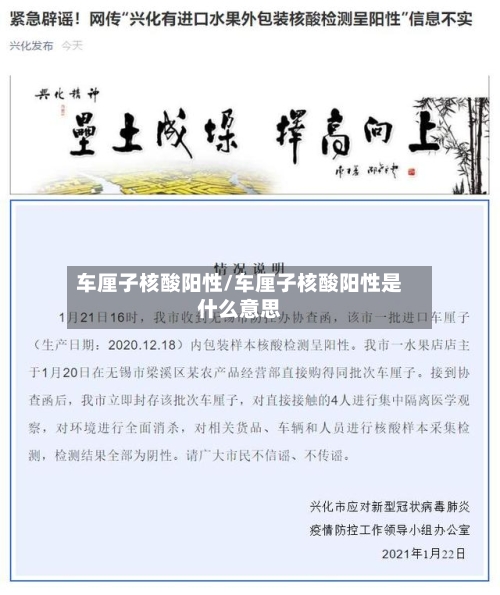 车厘子核酸阳性/车厘子核酸阳性是什么意思