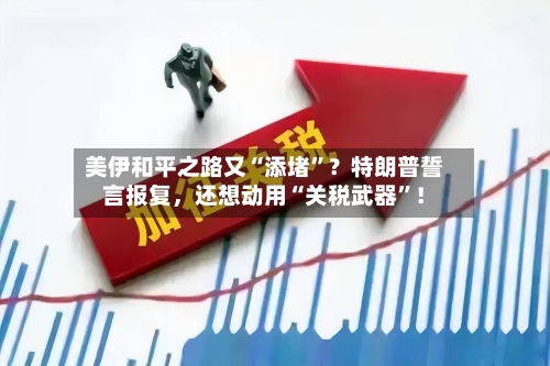 美伊和平之路又“添堵”？特朗普誓言报复	，还想动用“关税武器	”！-第3张图片